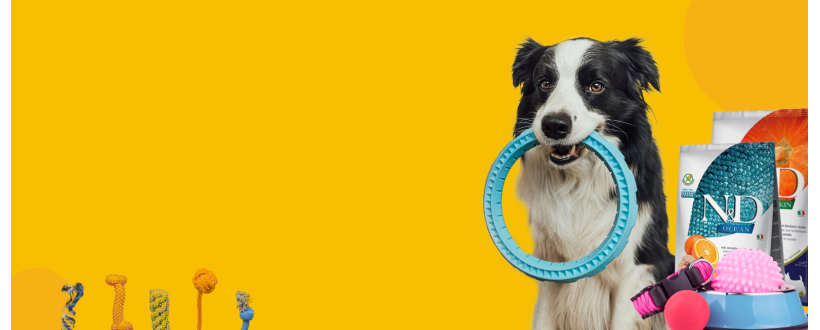 Інтернет-магазин зоотоварів “На Робочій”