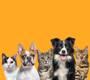 Наші переваги